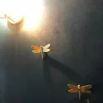 Daire La Dimora Di Sofia Sul Canale A San Stae *