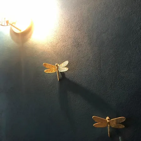 Apartment La Dimora Di Sofia Sul Canale A San Stae *